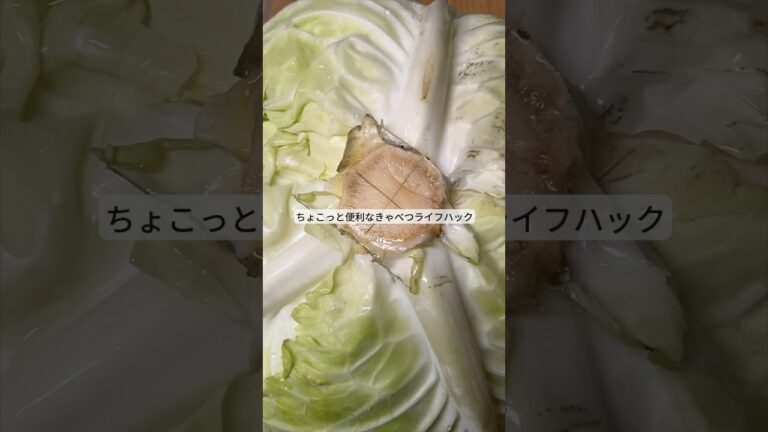 ちょこっと役立つ!キャベツライフハック! #ライフハック #料理 #レシピ #野菜 #shorts ちょこっと役立つ!キャベツライフハック! #ライフハック #料理 #レシピ #野菜 #shorts