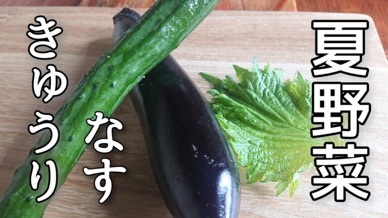 【家族に褒められる！レシピ】暑い日に食べたいさっぱり夏野菜。