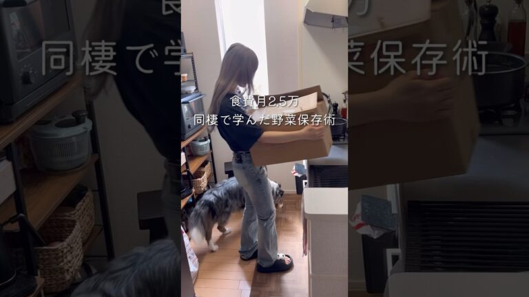 【食費月2.5万】野菜保存術と作り置き#同棲ご飯 #作り置き #野菜保存法　#料理