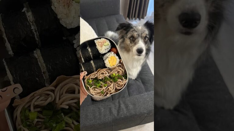 海苔巻き蕎麦弁当#同棲ご飯 #簡単レシピ 　#毎日弁当　#同棲弁当