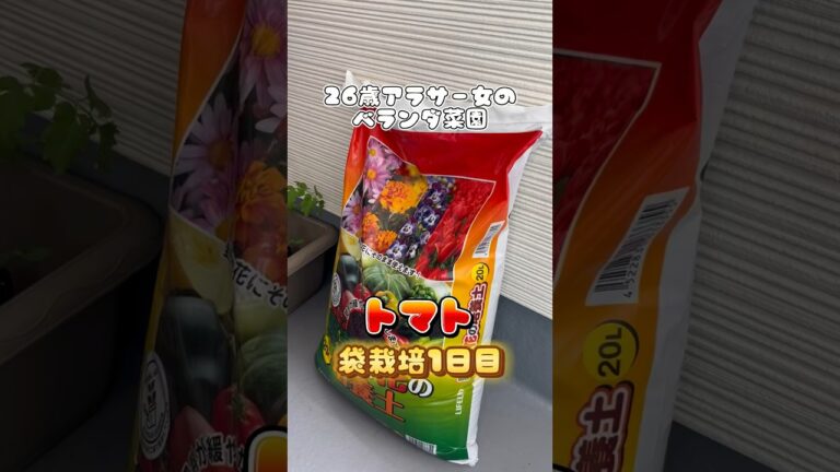 虫の予防頑張ります🐛#トマト栽培 #ベランダ菜園 #袋栽培