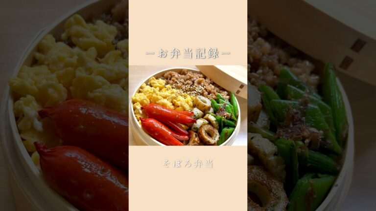 〜お弁当記録01〜 #お弁当 #お弁当記録 #お弁当作り