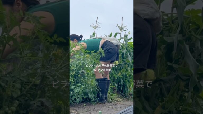 ピラティス女子の畑野菜でカンタン食事🍽️#ヘルシー #レシピ #簡単 #茄子 #グルテンフリー #米粉レシピ #畑仕事 #夏野菜レシピ #夏野菜 #家庭菜園 #家庭菜園初心者