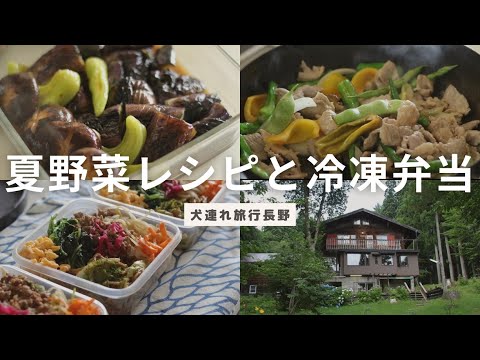 夏野菜レシピと冷凍弁当の作り置き/犬連れ旅行長野編 夏野菜レシピと冷凍弁当の作り置き/犬連れ旅行長野編