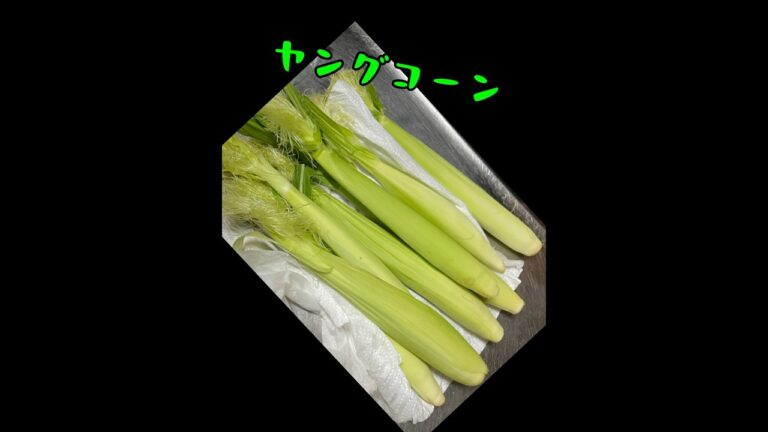 皮ごと焼くだけ【ヤングコーン】旬野菜!美味しい👍この食べ方がシンプルでベスト✨#shorts #ズボラ主婦 #料理 #簡単レシピ 皮ごと焼くだけ【ヤングコーン】旬野菜!美味しい👍この食べ方がシンプルでベスト✨#shorts #ズボラ主婦 #料理 #簡単レシピ