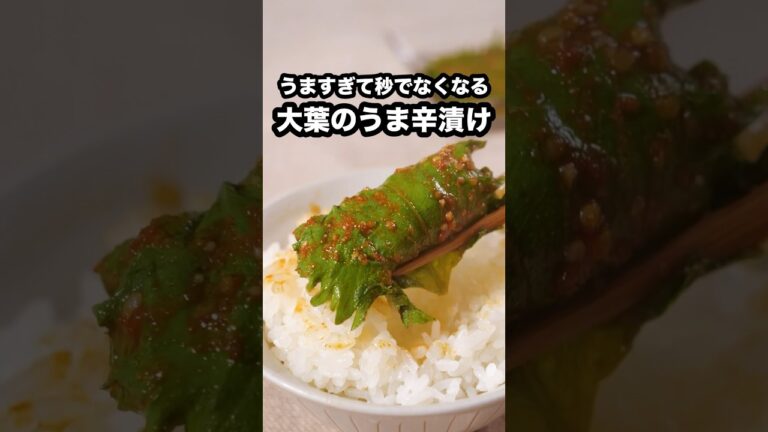 1回で20枚分できるはずなのに気づいたらなくなってる【大葉のキムチ】詳しいレシピはアプリで料理名を検索♪ #大葉 #青じそ #キムチ #やみつき