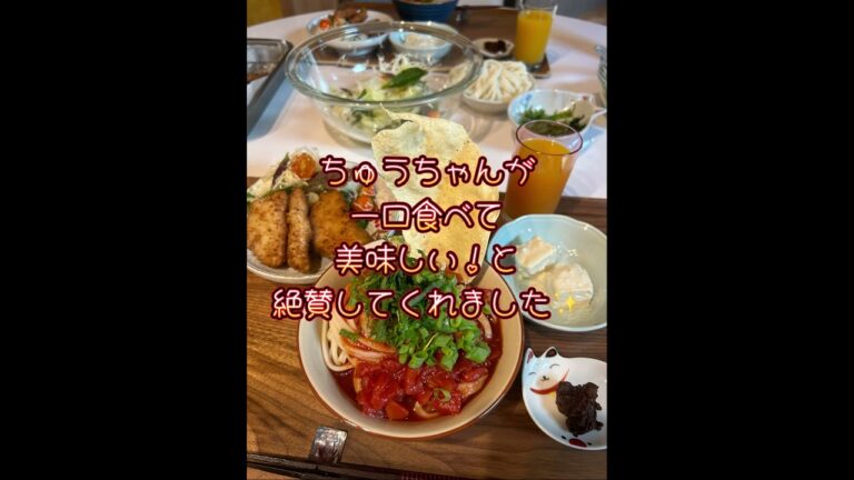 氷見うどんで、冷やしトマトうどん🍅ピリ辛で美味しい❣️ #ヴィーガン #旅行 #veganfood #うどんレシピ#ヴィーガン料理レシピ 氷見うどんで、冷やしトマトうどん🍅ピリ辛で美味しい❣️ #ヴィーガン #旅行 #veganfood #うどんレシピ#ヴィーガン料理レシピ