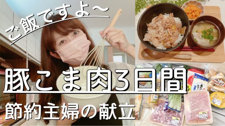 【夜ご飯献立】豚こま肉で3日間の夜ご飯♪豚丼、豚こま団子に炒めもの♪/簡単美味しく安く♪節約主婦/主婦vlog 料理vlog vol.41 【夜ご飯献立】豚こま肉で3日間の夜ご飯♪豚丼、豚こま団子に炒めもの♪/簡単美味しく安く♪節約主婦/主婦vlog 料理vlog vol.41
