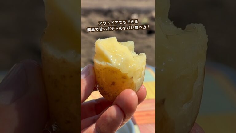 【ポテト好きにみてほしい🥔】アウトドアでできる簡単ポテト!北の大地でおじゃが掘ってすぐ食べたらヤバ過ぎた!!#shorts 【ポテト好きにみてほしい🥔】アウトドアでできる簡単ポテト!北の大地でおじゃが掘ってすぐ食べたらヤバ過ぎた!!#shorts
