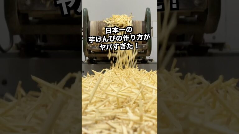 【ポテト好きにみてほしい🍠】日本一‼︎芋けんぴ工場の貴重な映像#shorts 【ポテト好きにみてほしい🍠】日本一‼︎芋けんぴ工場の貴重な映像#shorts