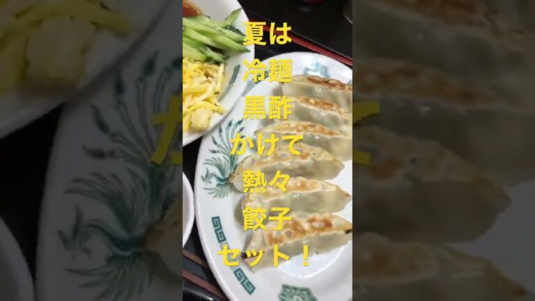 夏だ！黒酢しょうゆ冷やし麺だ！うま〜！熱々餃子も最高！日高屋！#夏だ　#黒酢しょうゆ　#冷やし麺　#大盛り　#熱々　#餃子　#最高　#万歳　#万歳　#万歳　#感謝感激　#日高屋　#夏メニュー　#うま