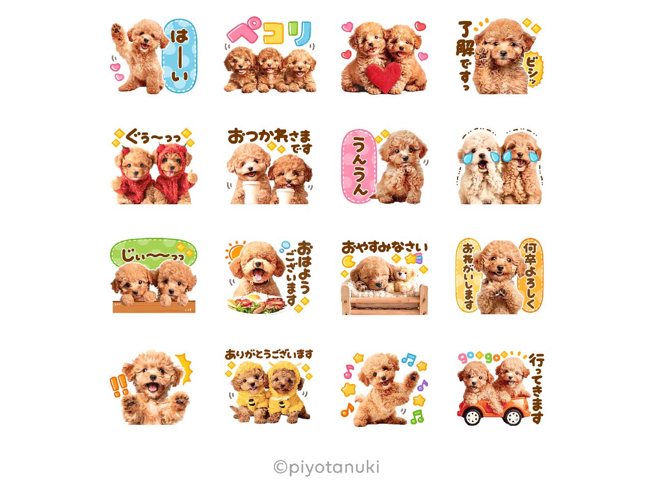 トイプー×選べるニュース