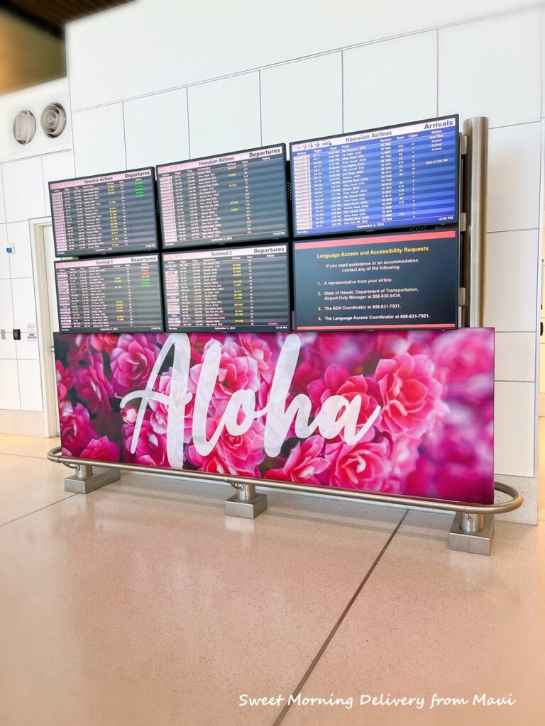 NEW                        
                        
                                                                        
                        
                        
                            
                                9/22                                (日)                                
                                
                                
                            
                            ハワイの朝：アサイーボウルとバナナブレッド
                            はらだちほ（アメリカ在住）1794