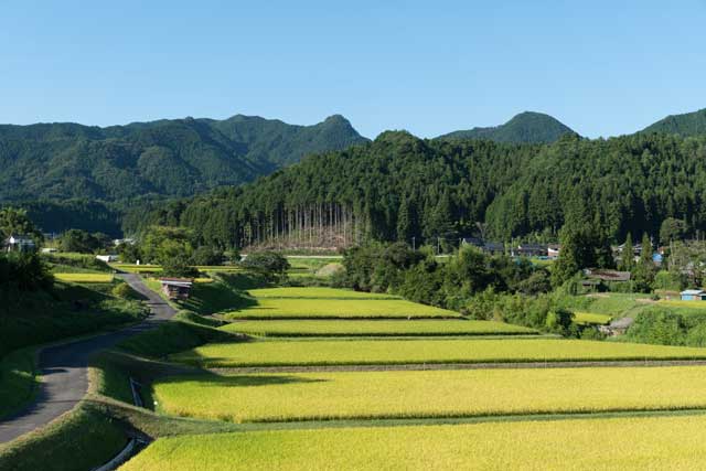 日本の田舎
