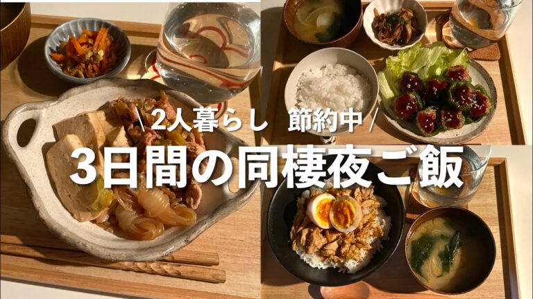 【節約】食欲旺盛な彼氏を満足させる夜ご飯【肉豆腐/麻薬ささみ丼/ピーマンの肉詰め】 【節約】食欲旺盛な彼氏を満足させる夜ご飯【肉豆腐/麻薬ささみ丼/ピーマンの肉詰め】