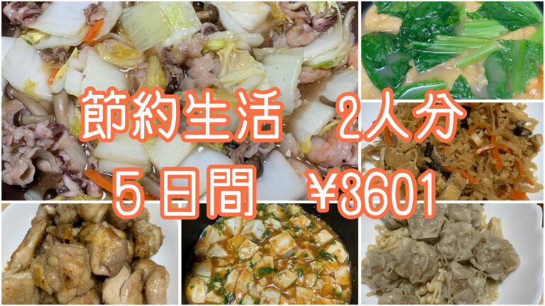 【節約生活】アラ還夫婦2人分✖️５日間#アラ還 #ダイエット中の食事 #なんちゃって料理 #野菜たっぷり #ずぼら飯 #家庭菜園#時短レシピ #節約レシピ #簡単レシピ #自給自足