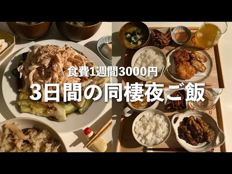 【2人暮らし】節約しながらでも満足したい2人暮らしの夜ご飯【鯖缶の炊き込みご飯/エビカツ/麻婆茄子し