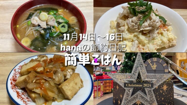 簡単ごはん/もやし豚汁/ポテトサラダ鶏むね肉のせ/厚揚げと鶏の炒め物