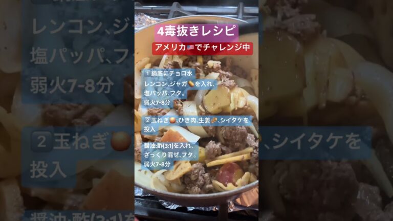 4毒抜きレシピ🍙アメリカ🇺🇸でチャレンジ中【根菜たっぷりひき肉】