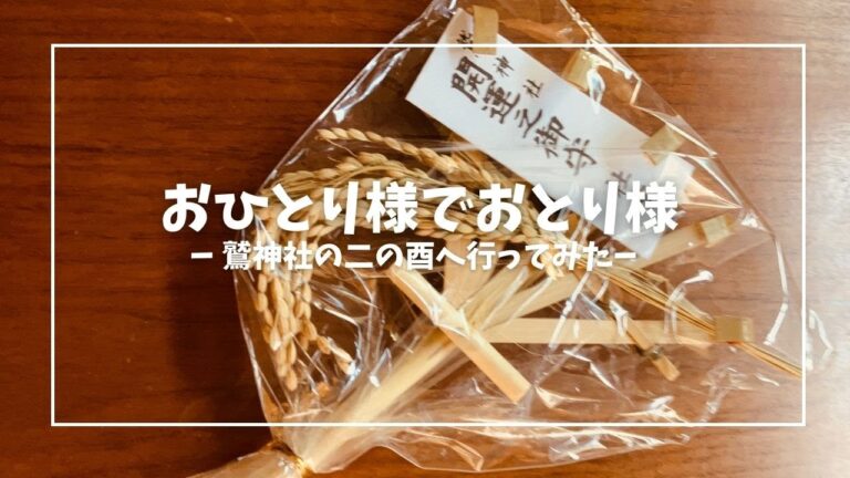 おひとりさまでお酉さま【vlog】【一人呑み】浅草で同棲するふたりの彼氏の方がお酉さまへ一人で行ってみた