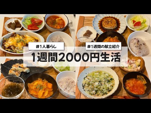 【料理Vlog】【1週間2000円生活】〜1人暮らしOLの30分で作る1週間の自炊記録〜 キャベツのラザニア/ミネストローネ/のりしおささみ/鶏と豆腐のハンバーグ/焼き鳥 【料理Vlog】【1週間2000円生活】〜1人暮らしOLの30分で作る1週間の自炊記録〜 キャベツのラザニア/ミネストローネ/のりしおささみ/鶏と豆腐のハンバーグ/焼き鳥