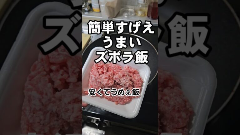 うひょーすげぇズボラ!てきとーがうまい!豚挽き肉と卵の簡単節約丼レシピ うひょーすげぇズボラ!てきとーがうまい!豚挽き肉と卵の簡単節約丼レシピ