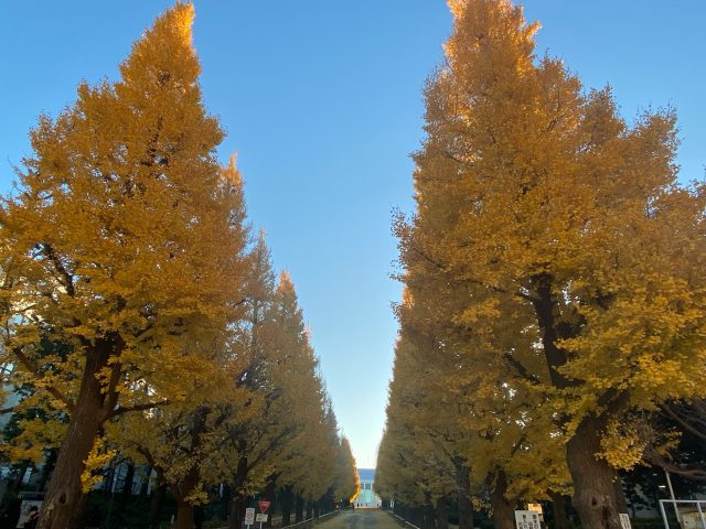 NEW                        
                        
                                                BLOG                        
                        
                        
                            
                                12/9                                (月)                                
                                
                                
                            
                            【日吉】さむーい朝に、こだわりおにぎり＆おわんの幸せ朝ごはん@おにぎり...
                            東京ソトアサごはん会254