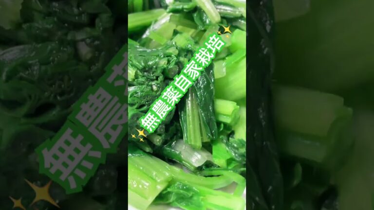 ビールに合う 健康的 #おつまみレシピ