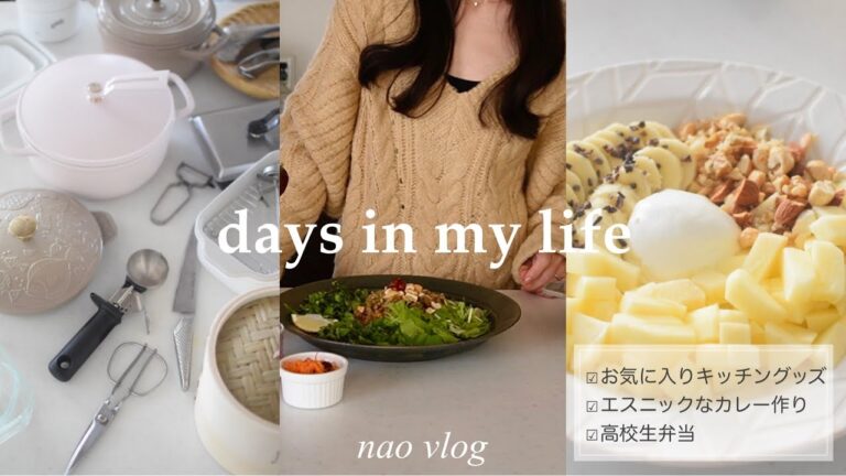 【専業主婦vlog】料理好き主婦の愛用キッチングッズ/エスニックなカレー作り/高校生弁当