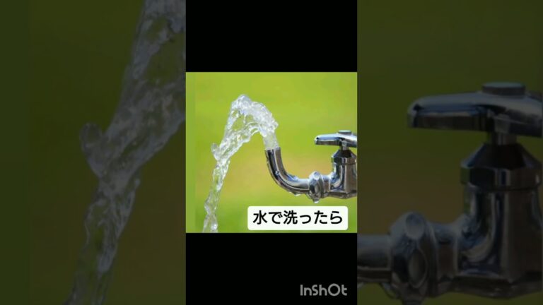 簡単ズボラおつまみレシピ サバの味噌煮編 簡単ズボラおつまみレシピ サバの味噌煮編