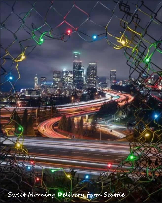 NEW                        
                        
                                                BLOG                        
                        
                        
                            
                                12/24                                (火)                                
                                
                                
                            
                            Merry Christmas from Seattle！
                            はらだちほ（アメリカ在住）1