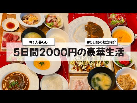【料理Vlog】【5日間2000円の豪華生活】〜1人暮らしOLの30分で作る5日間の自炊記録〜 ネギ焼き/焼き鯖の炊き込みご飯/カレー/煮込みハンバーグ/にんじんのポタージュ