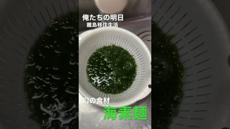 ご近所さんにいただいた海藻…その正体は幻の食材「海素麺」