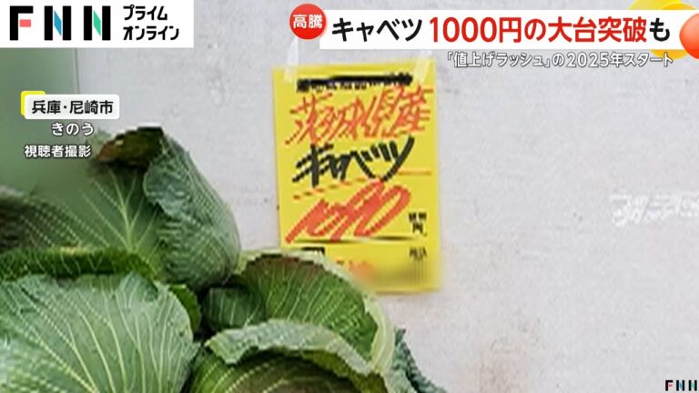 キャベツ1玉1000円の大台突破も…とんかつ店店長「豚肉より高い」悲鳴 6日にまとまった雨も農水省「当面今の状況続く見通し」 キャベツ1玉1000円の大台突破も…とんかつ店店長「豚肉より高い」悲鳴 6日にまとまった雨も農水省「当面今の状況続く見通し」