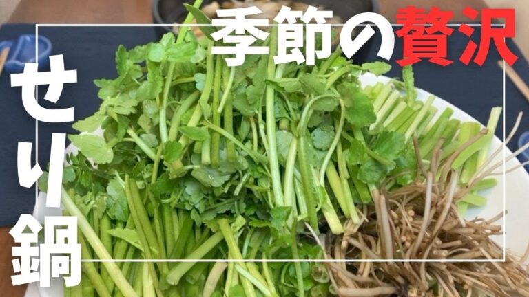 季節の贅沢 せり鍋【vlog】【料理男子】【料理】浅草で同棲するふたりがせり鍋を食べる動画