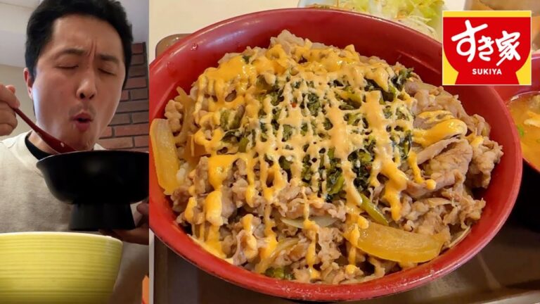 日帰り東京出張で「すき家の高菜明太マヨ牛丼」のメガ盛りをドカ食いして帰る