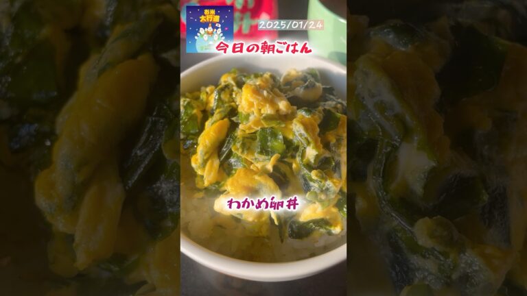 わかめ卵丼　#レシピ動画 #料理 #簡単朝ごはん #cooking #簡単ごはん #自炊  #わかめ #卵 #わかめ卵 #leledebea  #レレデビー #根岸台音頭 #簡単レシピ