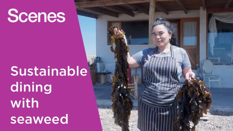 Watch: An Argentinian restaurateur serves up sustainable dining | Scenes