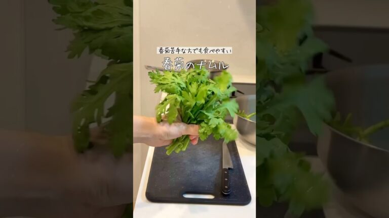 大好物の春菊✨子供でも春菊を美味しく食べる方法🫣❤️ 大好物の春菊✨子供でも春菊を美味しく食べる方法🫣❤️