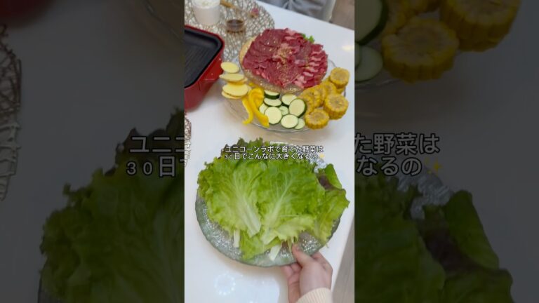 家で育てたお野菜で井上さんを包み込みたい💕#スイーツ #バレンタイン #焼肉 #レシピ #簡単レシピ #vlog 家で育てたお野菜で井上さんを包み込みたい💕#スイーツ #バレンタイン #焼肉 #レシピ #簡単レシピ #vlog