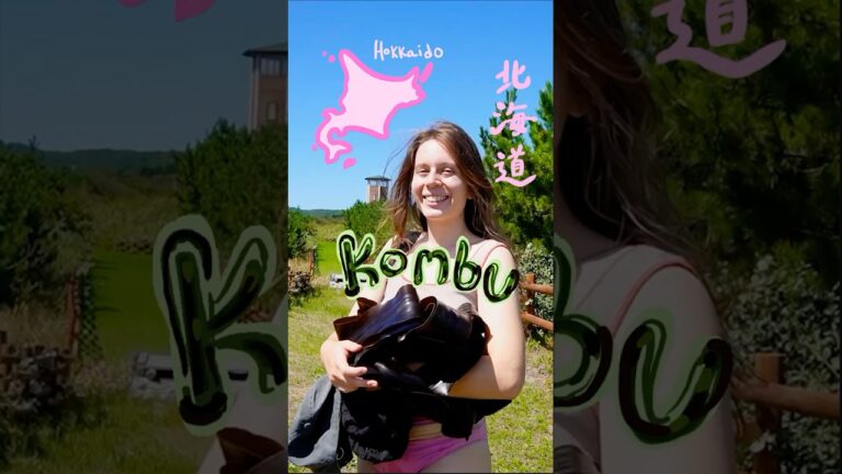 Kombu foraging Hokkaido 北海道で昆布狩り