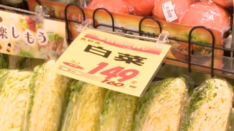 芯はくり抜く・内側の葉から食べる　プロに聞く野菜保存術　キャベツの”芯”活用メニューは検索急上昇　寒波で高騰する野菜を食べきるには