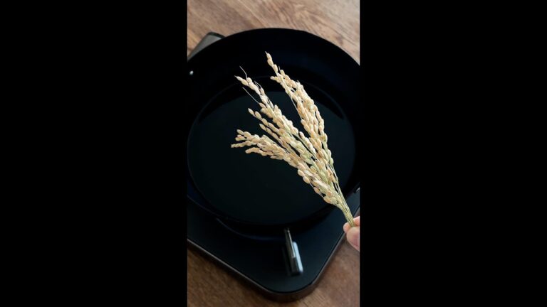 【ちょ待って!和製ポップコーン!?】「いや、ポップライスでしょ!」稲穂の素揚げやってみた / Pop Rice #shorts 【ちょ待って!和製ポップコーン!?】「いや、ポップライスでしょ!」稲穂の素揚げやってみた / Pop Rice #shorts