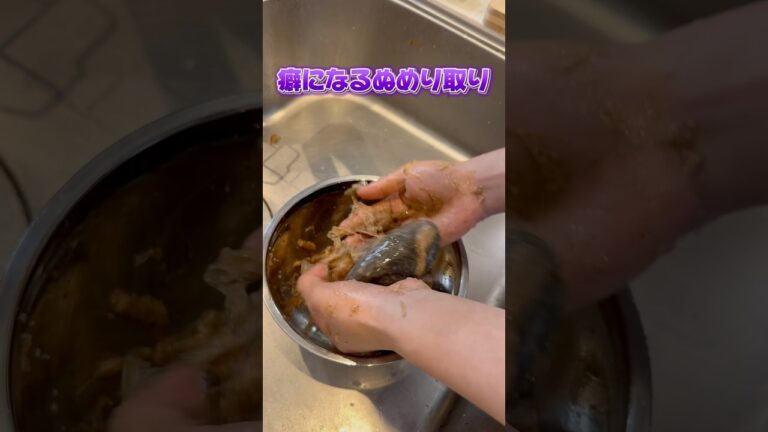 海鼠は食べるまでが大変💦#shorts #ななちゃん #おすすめにのりたい