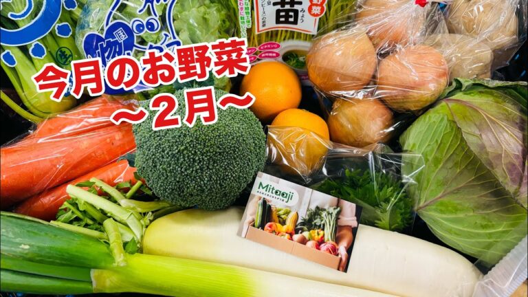 ２月のお野菜-みためとあじはちがう店