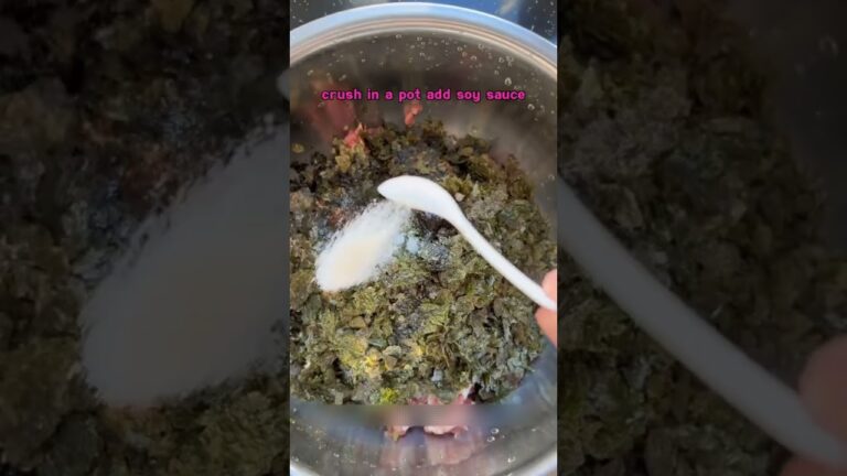 seaweed wonton fresh and delicious! #recipes #chinesefood #seaweed #delicious