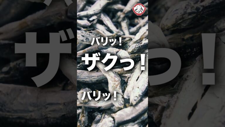 伊吹島いりこは食べると旨い！！ #いりこ #煮干し #おつまみ #レシピ