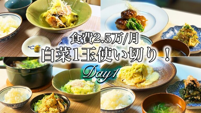 【1週間献立】和食料理人が作る  二人暮らし5日間晩ごはん献立/白菜1玉使い切りレシピ