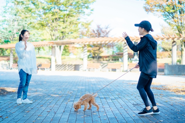 NEW                        
                        
                                                                        
                        
                        
                            
                                2/4                                (火)                                
                                
                                
                            
                            昔とは違う？今の時代に合った「ご近所付き合い」のマナーとは
                            林 慶子（マナー講師）34