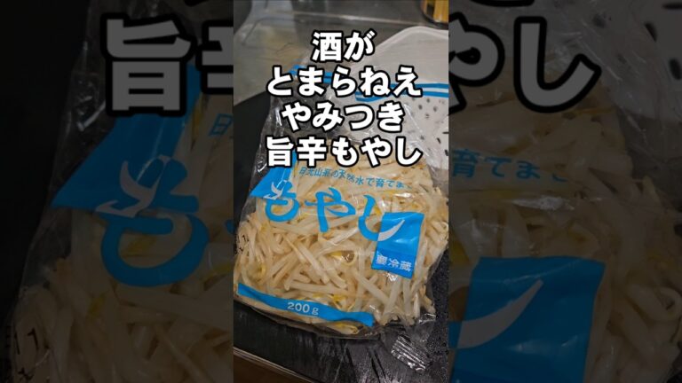 居酒屋で人気！やみつき無限もやし！簡単おつまみ作り置き常備菜副菜 節約 ピリ辛レシピ